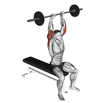 Extension triceps assise au-dessus de la tête avec barre